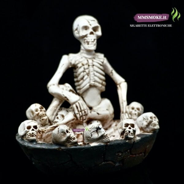 Display Skull Modello B